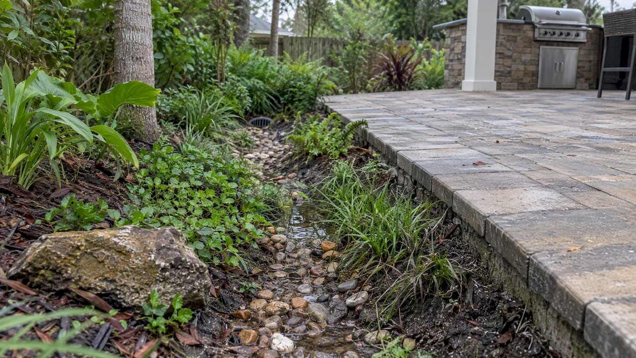 Planted drainage swale beside patio hardscape